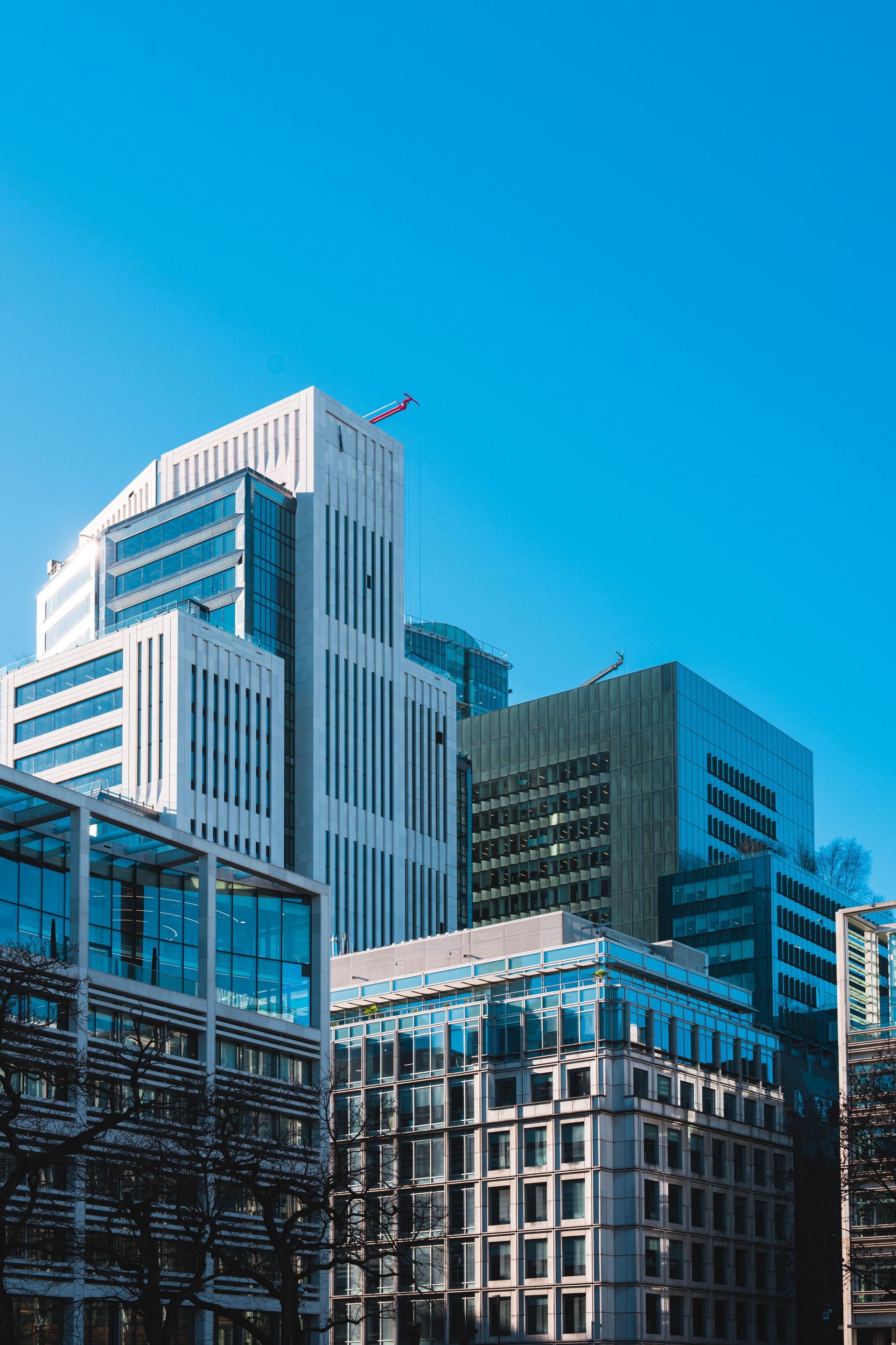 Looking up at London office Buildings through budding trees
